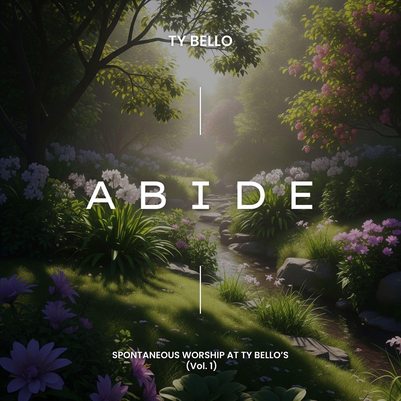 Abide artwork